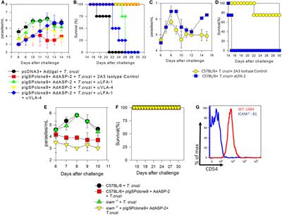 LFA-1 Mediates Cytotoxicity and Tissue Migration of Specific CD8+ T Cells after Heterologous Prime-Boost Vaccination against Trypanosoma cruzi Infection